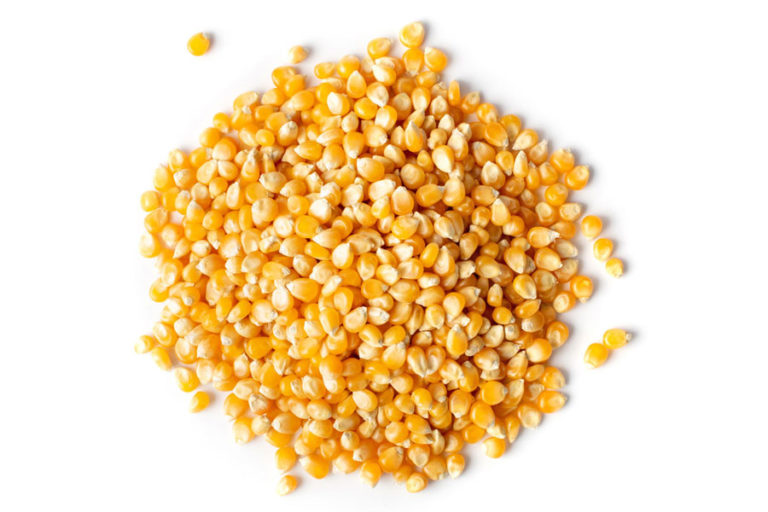 Products Specialty Food Group